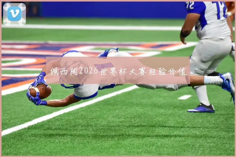 佩西陶2026世界杯大赛经验价值