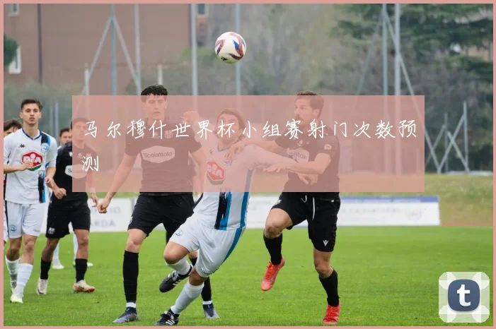 马尔穆什世界杯小组赛射门次数预测
