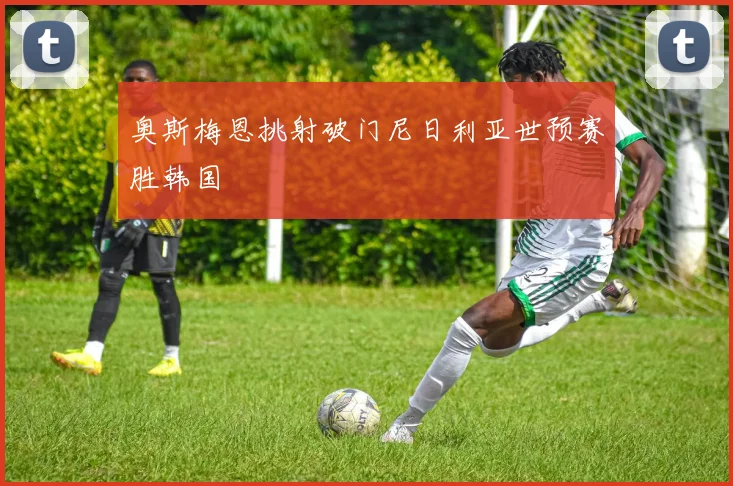 奥斯梅恩挑射破门尼日利亚世预赛胜韩国