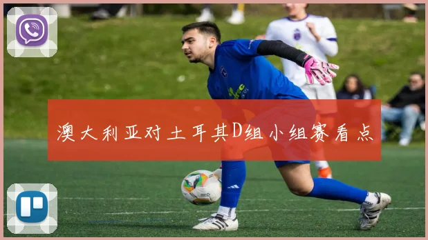 澳大利亚对土耳其D组小组赛看点
